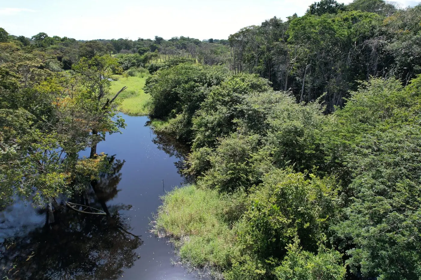 Nature